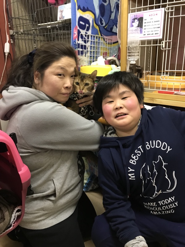【運命の赤い糸見～つけた💓トイプードルのクック💕、アビシニアンのコデ💕、スコティッシュフォールドのクロミ💕】